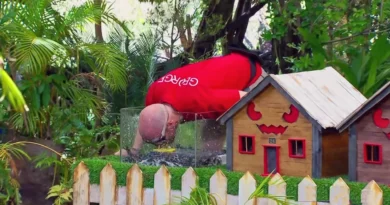 I’m a Celebrity 12-16