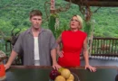 I’m a Celebrity 12-19