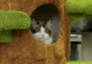 Better Homes and Gardens 32-11