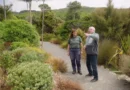 Better Homes and Gardens 32-8