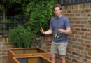 Better Homes and Gardens 32-12