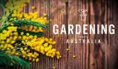 gardening australia g.au big
